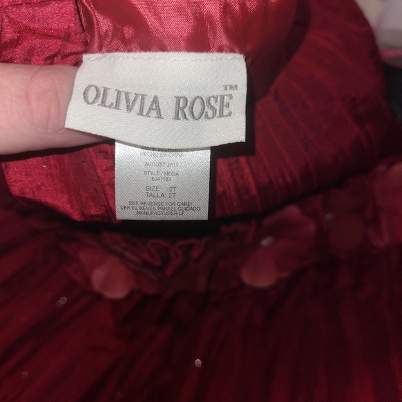 Toddler Dressss - Picture 6 of 16